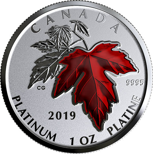 RCM-New-Release:-2019-1-Oz.-Pure-Platinum-Coin---Maple-Leaf-Forever